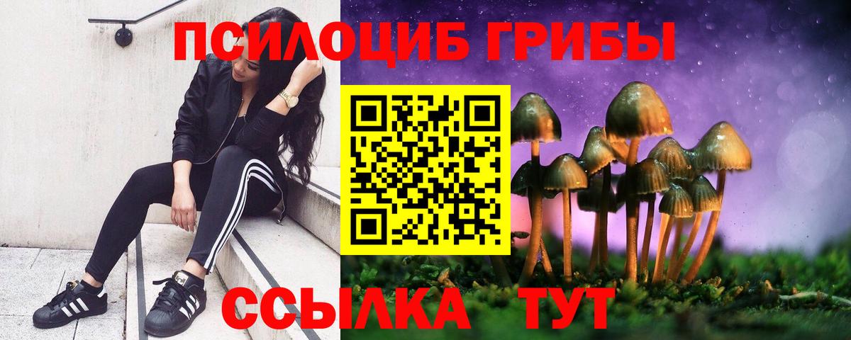 Псилоцибиновые грибы Psilocybine cubensis Керчь