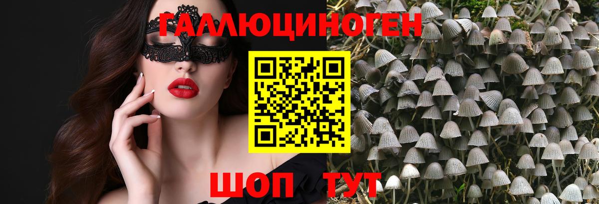 Псилоцибиновые грибы мухоморы  Вход с VPN  Галлюциногенные грибы мицелий  Керчь 