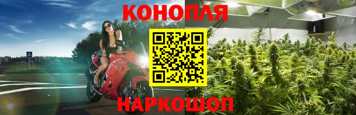 Керчь  Бошки марихуана THC 21%  Вход с VPN  Шишки марихуана MAZAR  Конопля Bruce Banner 